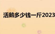 活鹅多少钱一斤2023 一亩大棚养鹅多少只 