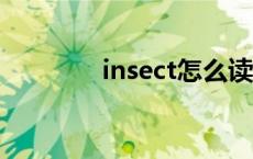 insect怎么读 igloo怎么读 