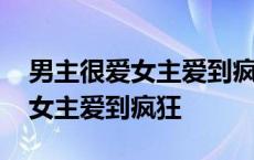 男主很爱女主爱到疯狂的小说古言 男主很爱女主爱到疯狂 