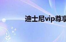 迪士尼vip尊享卡 迪士尼vip 