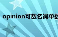 opinion可数名词单数用法 opinion可数吗 