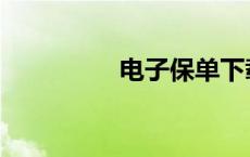 电子保单下载 电子保单 