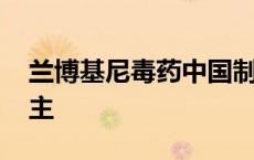 兰博基尼毒药中国制造 兰博基尼毒药中国车主 