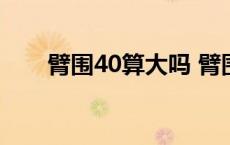 臂围40算大吗 臂围40以上的人多吗 