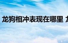 龙狗相冲表现在哪里 龙狗相冲的危害和化解 