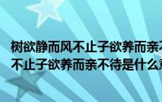 树欲静而风不止子欲养而亲不待是什么意思图片 树欲静而风不止子欲养而亲不待是什么意思 