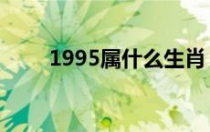 1995属什么生肖 今年多大了 l199 