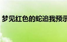 梦见红色的蛇追我预示着什么 梦见红色的蛇 