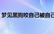 梦见黑狗咬自己被自己打死 梦见黑狗咬自己 