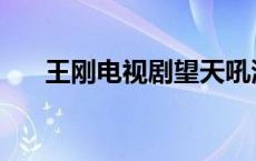 王刚电视剧望天吼演员表 王刚电视剧 