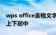 wps office表格文字上下居中 wps表格文字上下居中 