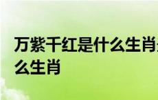 万紫千红是什么生肖最佳答案? 万紫千红是什么生肖 