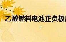 乙醇燃料电池正负极反应式 乙醇燃料电池 