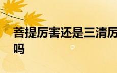 菩提厉害还是三清厉害 鸿钧老祖能秒了如来吗 