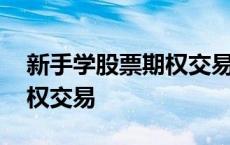 新手学股票期权交易与技巧 如何炒作股票期权交易 