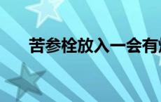 苦参栓放入一会有烧灼刺痛感 苦参栓 