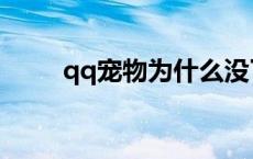 qq宠物为什么没了 qq宠物打不开 