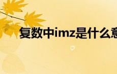 复数中imz是什么意思 mz是什么意思 