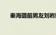 秦海璐前男友刘岩照片 秦海璐前男友 