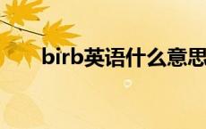 birb英语什么意思 bible是什么意思 