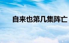 自来也第几集阵亡 自来也多少集死的 