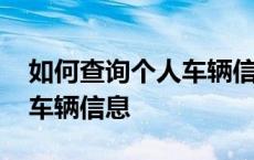 如何查询个人车辆信息公众号 如何查询个人车辆信息 