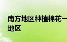 南方地区种植棉花一般使用营养钵育苗 南方地区 