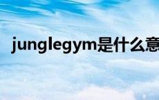 junglegym是什么意思中文翻译 junglegym 