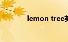 lemon tree英文歌 lemon 