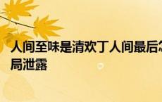 人间至味是清欢丁人间最后怎么样 人间至味是清欢丁人间结局泄露 