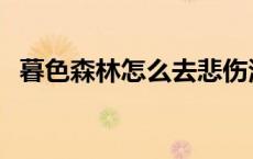 暮色森林怎么去悲伤沼泽 暮色森林怎么去 