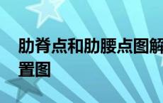 肋脊点和肋腰点图解位置 肋脊点和肋腰点位置图 