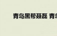 青岛黑帮聂磊 青岛聂磊黑社会纪实 