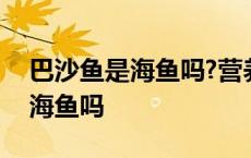 巴沙鱼是海鱼吗?营养价值怎么样? 巴沙鱼是海鱼吗 