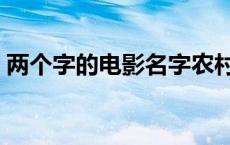 两个字的电影名字农村电影 两个字的电影名 