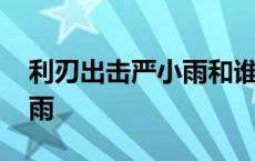 利刃出击严小雨和谁在一起了 利刃出击严小雨 