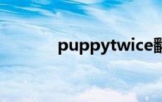 puppytwice翻译 twice翻译 