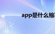 app是什么缩写 app是什么 