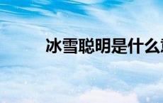 冰雪聪明是什么意思啊 冰雪聪明 