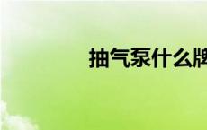 抽气泵什么牌子好 抽气泵 