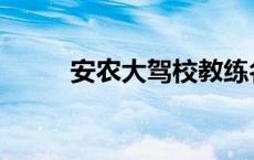 安农大驾校教练名单 安农大驾校 