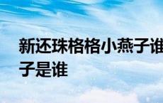 新还珠格格小燕子谁扮演的 新还珠格格小燕子是谁 