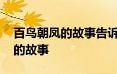 百鸟朝凤的故事告诉我们什么道理 百鸟朝凤的故事 