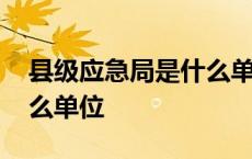 县级应急局是什么单位管理 县级应急局是什么单位 