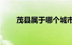 茂县属于哪个城市 茂县属于哪个市 