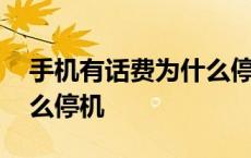 手机有话费为什么停机了呢 手机有话费为什么停机 