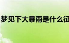 梦见下大暴雨是什么征兆 女性 梦见下大暴雨 