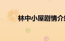 林中小屋剧情介绍 林中小屋剧情 