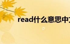 read什么意思中文 read什么意思 