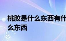 桃胶是什么东西有什么功效和作用 桃胶是什么东西 